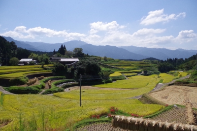 Terraced Rice Fields in Kozaki